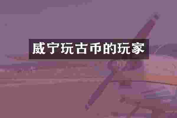 威宁玩古币的玩家