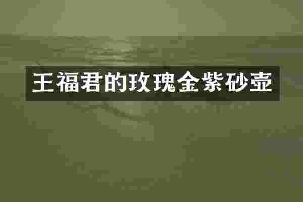 王福君的玫瑰金紫砂壶