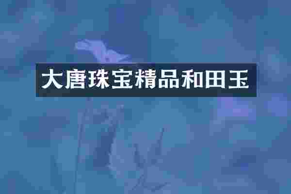 大唐珠宝精品和田玉