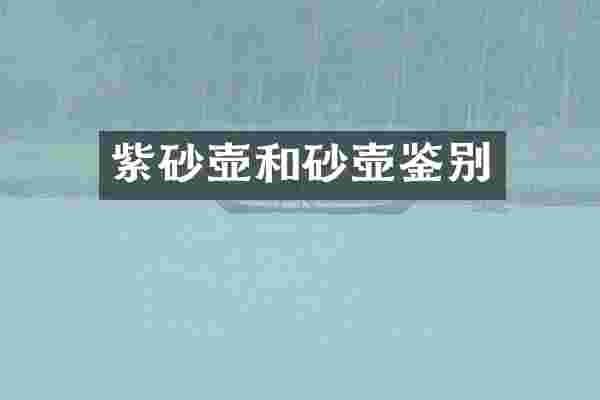 紫砂壶和砂壶鉴别