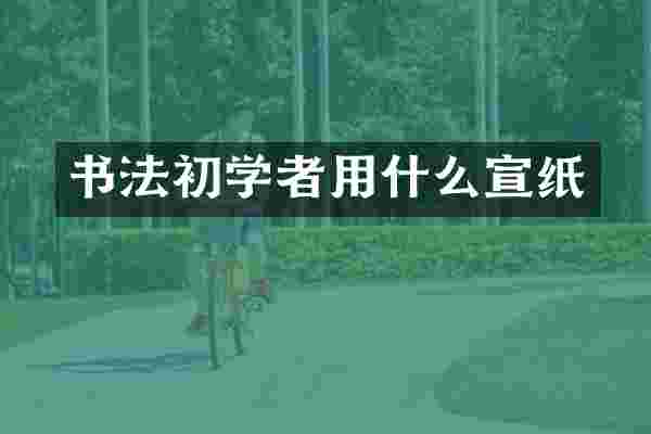 书法初学者用什么宣纸