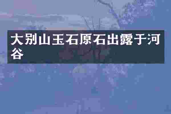 大别山玉石原石出露于河谷