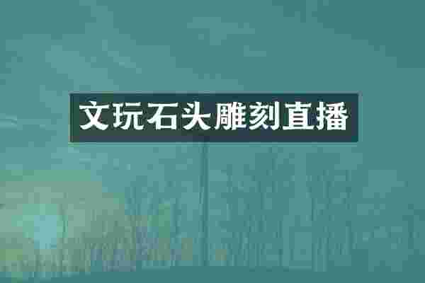 文玩石头雕刻直播