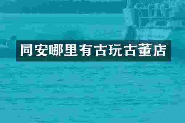 同安哪里有古玩古董店