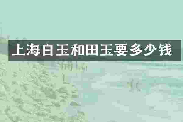 上海白玉和田玉要多少钱