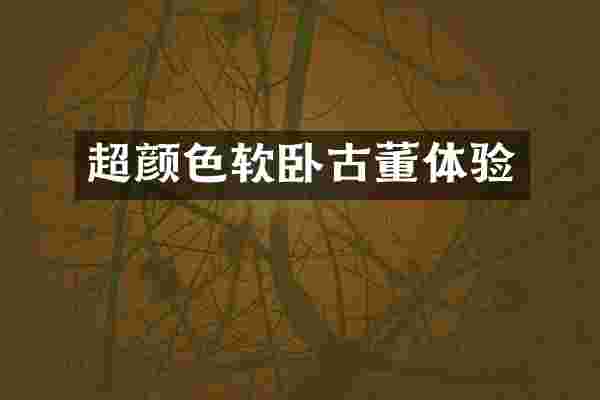 超颜色软卧古董体验