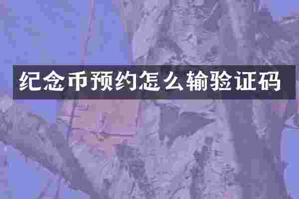 纪念币预约怎么输验证码