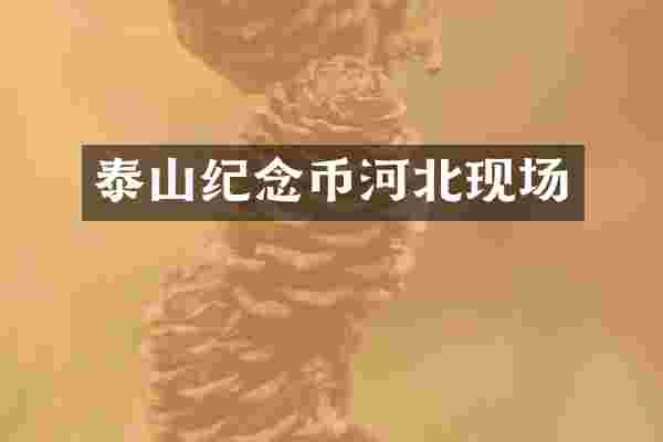 泰山纪念币河北现场