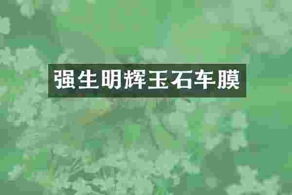 强生明辉玉石车膜