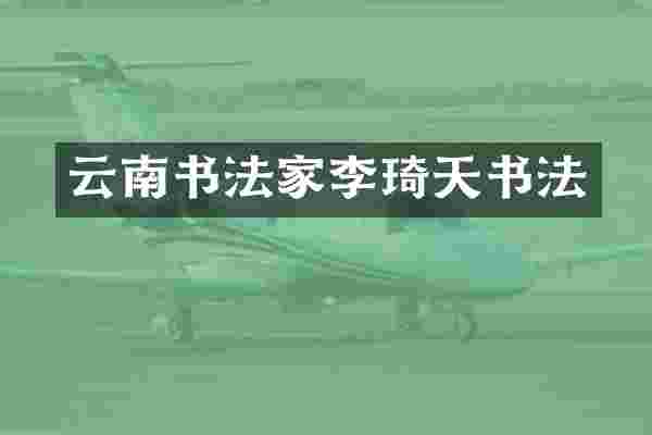 云南书法家李琦天书法