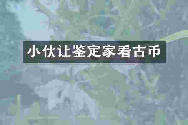 小伙让鉴定家看古币