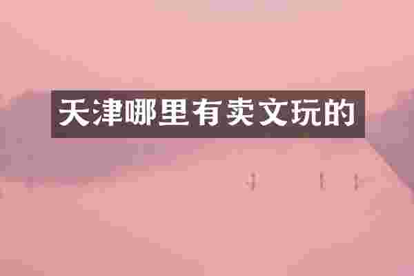 天津哪里有卖文玩的