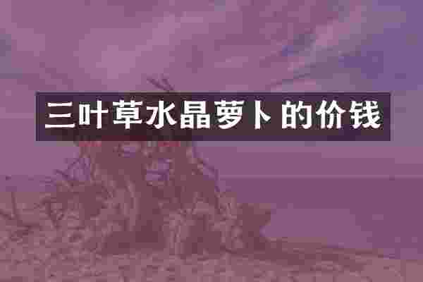 三叶草水晶萝卜的价钱