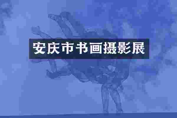 安庆市书画摄影展