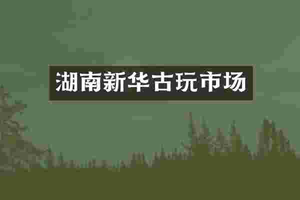湖南新华古玩市场