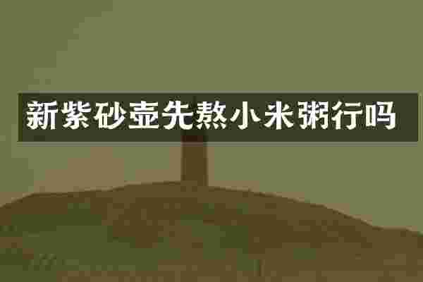 新紫砂壶先熬小米粥行吗
