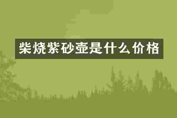 柴烧紫砂壶是什么价格