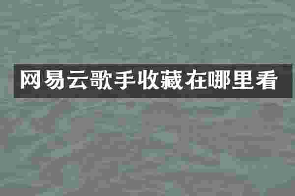 网易云歌手收藏在哪里看