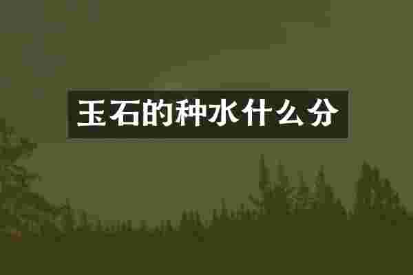 玉石的种水什么分