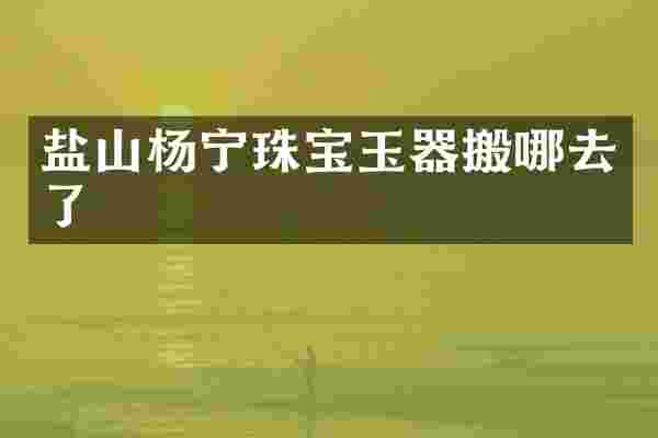 盐山杨宁珠宝玉器搬哪去了