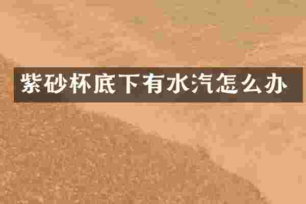 紫砂杯底下有水汽怎么办