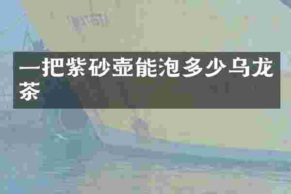 一把紫砂壶能泡多少乌龙茶
