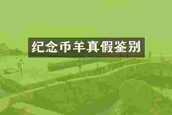 纪念币羊真假鉴别
