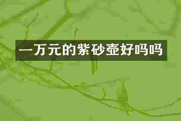 一万元的紫砂壶好吗吗