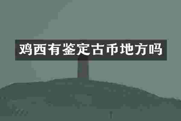 鸡西有鉴定古币地方吗