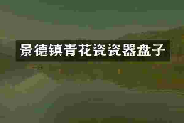 景德镇青花瓷瓷器盘子