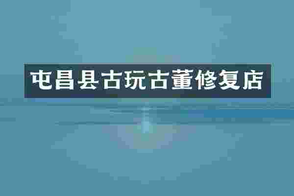 屯昌县古玩古董修复店