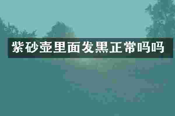 紫砂壶里面发黑正常吗吗