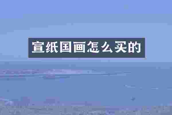 宣纸国画怎么买的