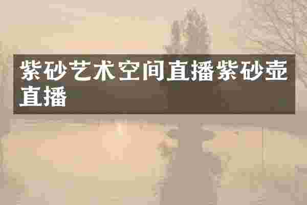 紫砂艺术空间直播紫砂壶直播