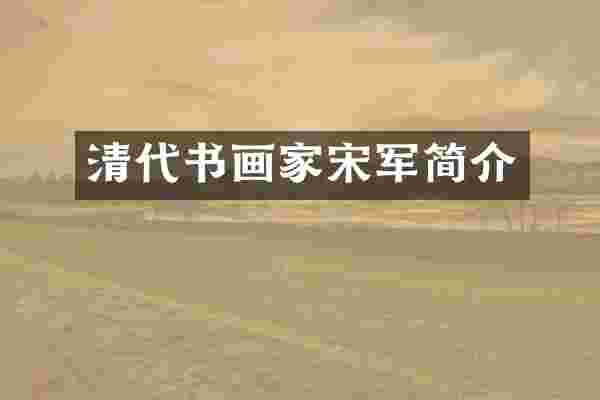 清代书画家宋军简介