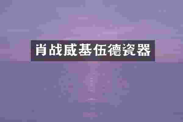 肖战威基伍德瓷器