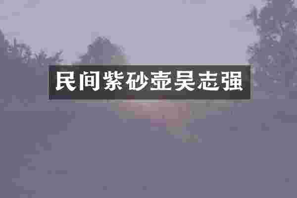 民间紫砂壶吴志强