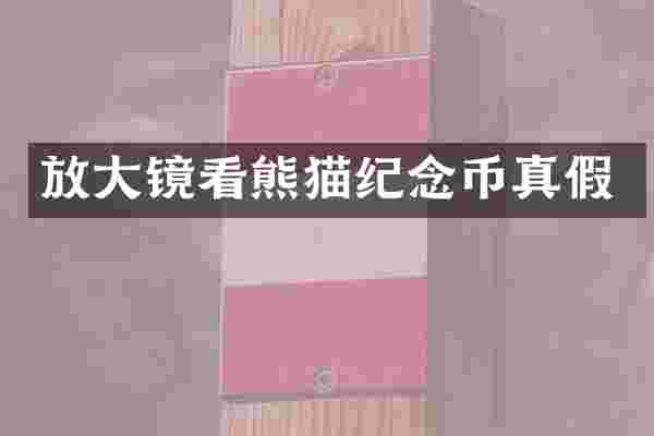 放大镜看熊猫纪念币真假