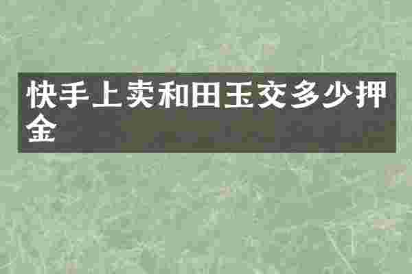 快手上卖和田玉交多少押金