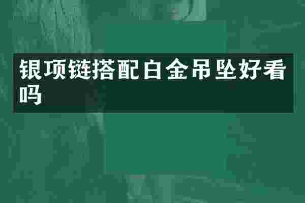 银项链搭配白金吊坠好看吗