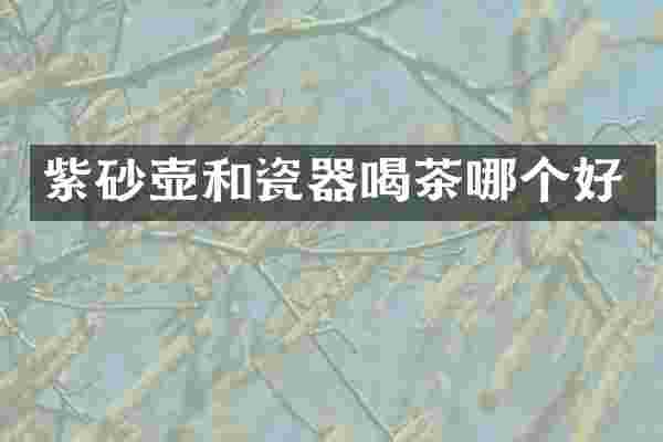 紫砂壶和瓷器喝茶哪个好