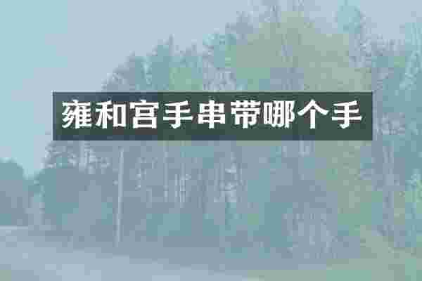 雍和宫手串带哪个手