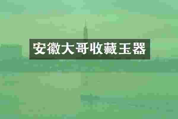 安徽大哥收藏玉器