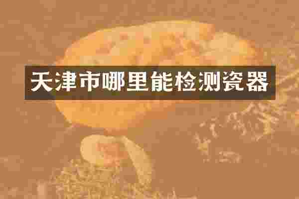 天津市哪里能检测瓷器