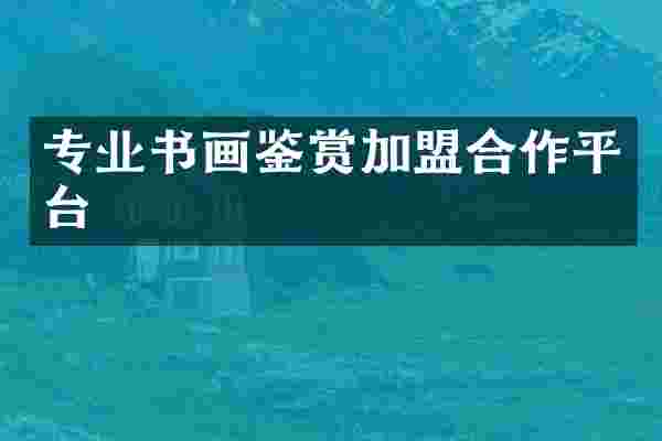专业书画鉴赏加盟合作平台