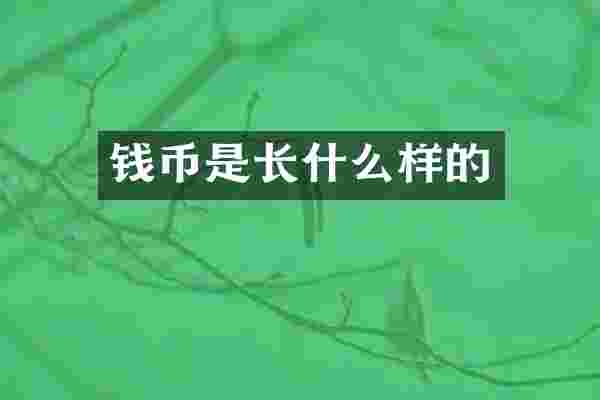 钱币是长什么样的