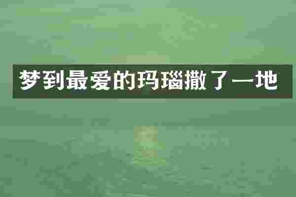 梦到最爱的玛瑙撒了一地