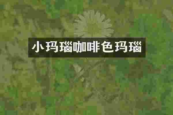 小玛瑙咖啡色玛瑙