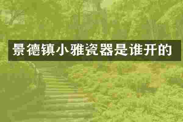 景德镇小雅瓷器是谁开的