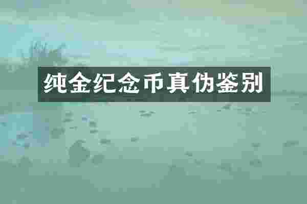 纯金纪念币真伪鉴别